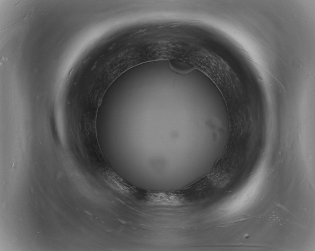 X0000112140239200908141200