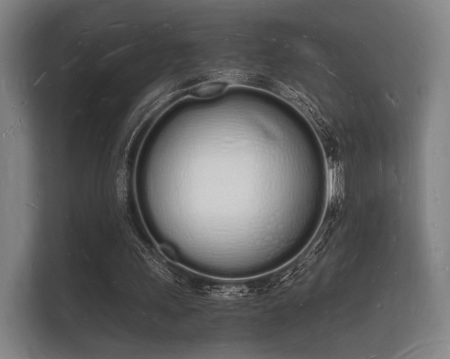 X0000112140243200908141200