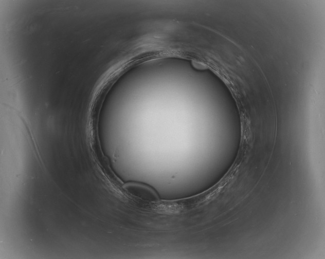 X0000112140245200908141200