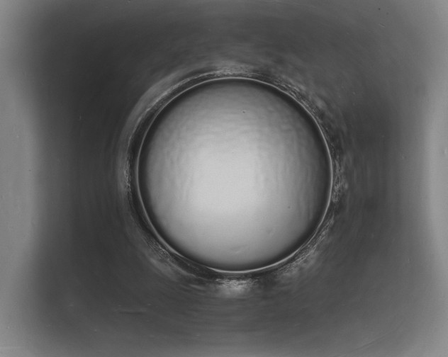 X0000112140247200908141200