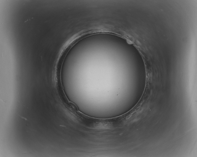 X0000112140248200908141200