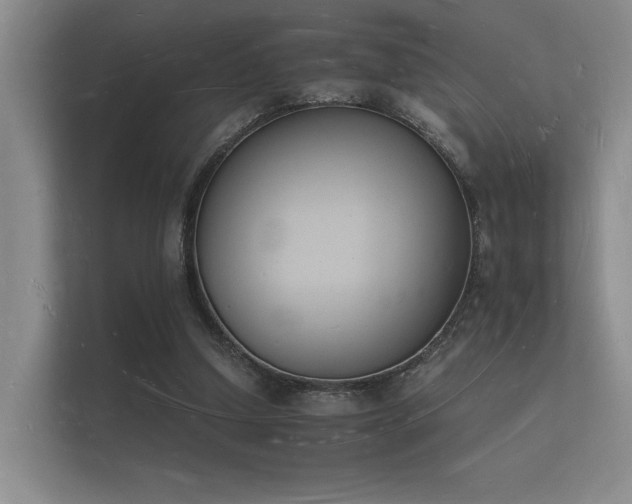 X0000112140250200908141200