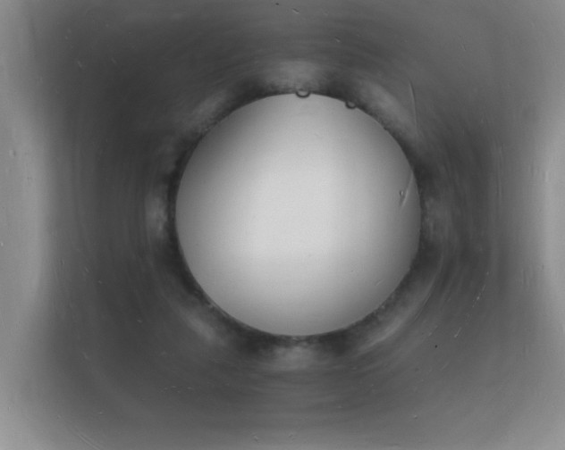 X0000112140259200908141200