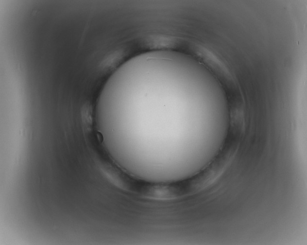 X0000112140264200908141200