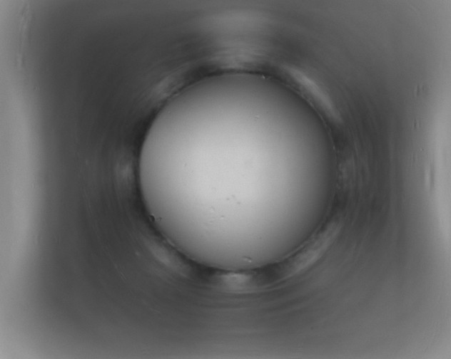 X0000112140265200908141200