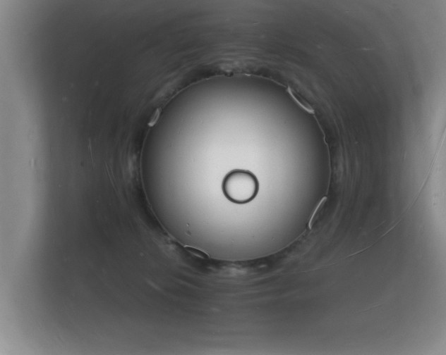 X0000112140276200908141200