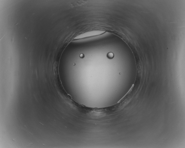 X0000112140280200908141200