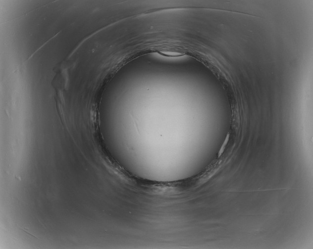 X0000112140284200908141200