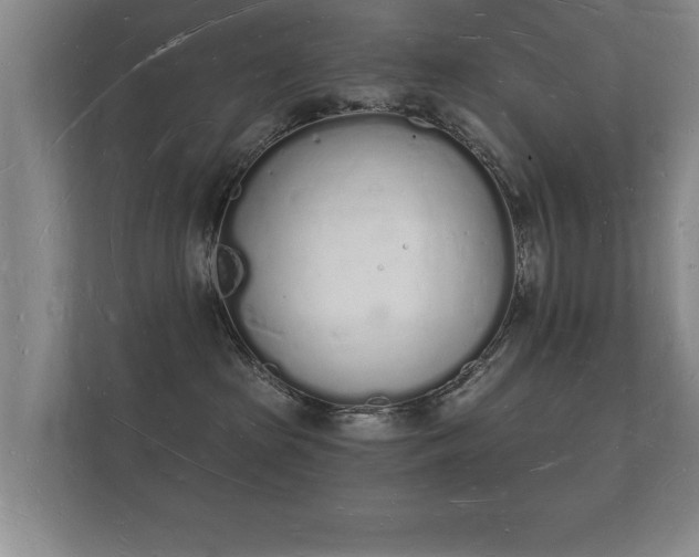 X0000112140285200908141200