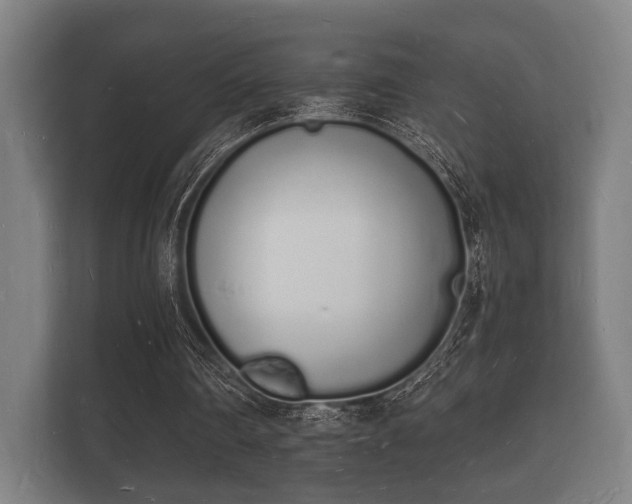 X0000112140290200908141200