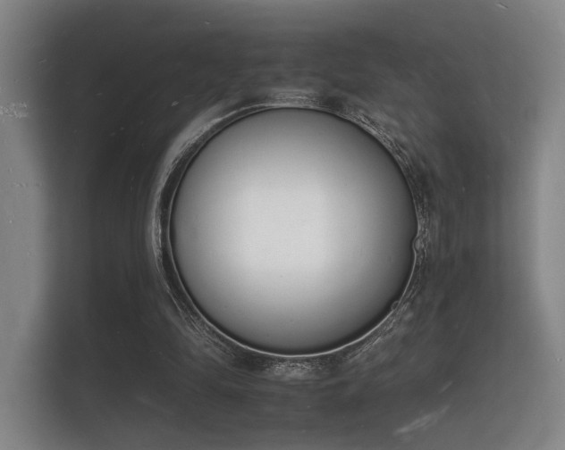 X0000112140294200908141159