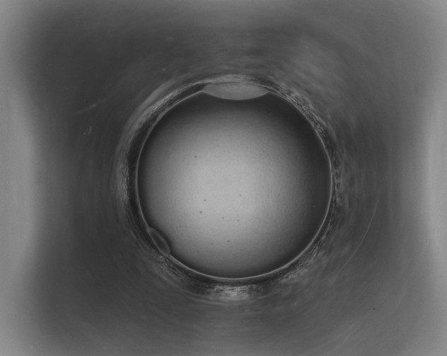 X0000112140295200908141159