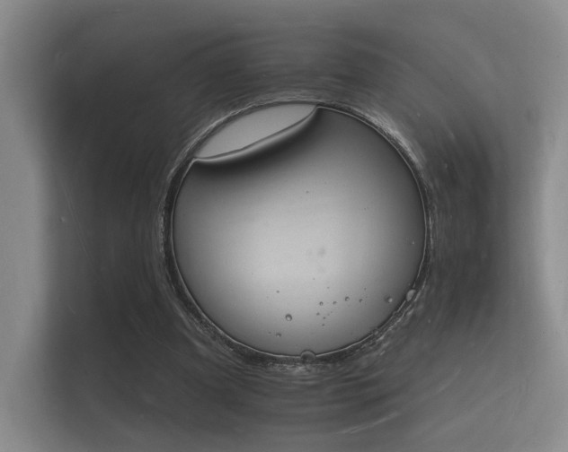 X0000112140297200908141159