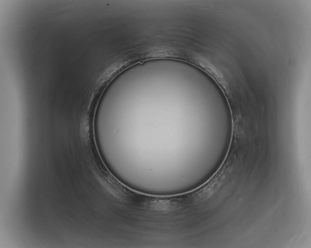 X0000112140298200908141159