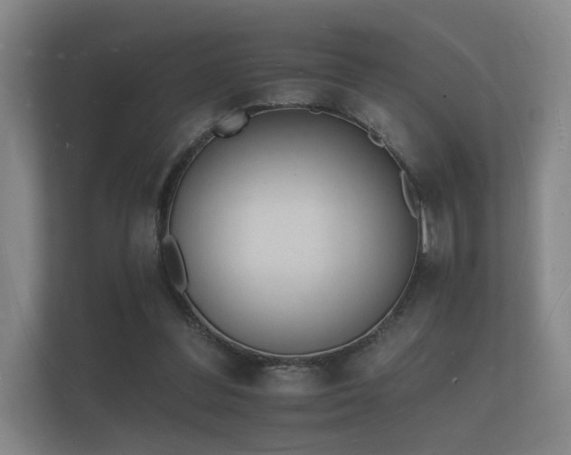 X0000112140300200908141159