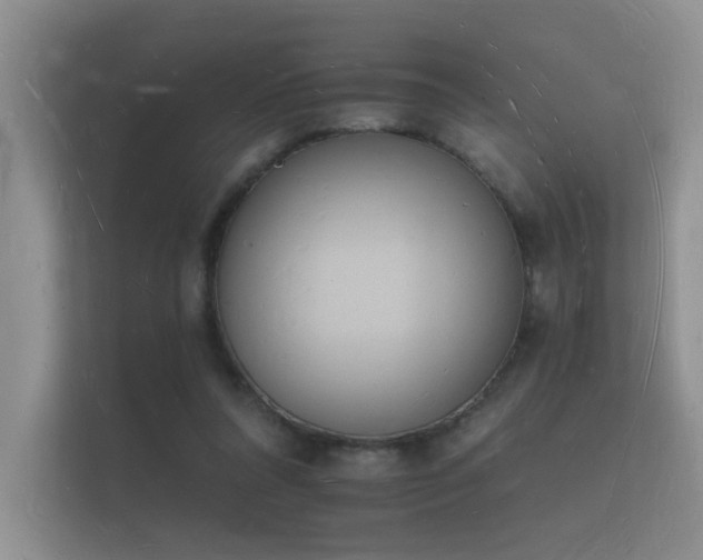 X0000112140304200908141159