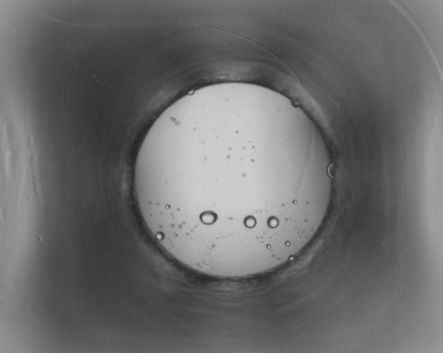 X0000112140305200908141159