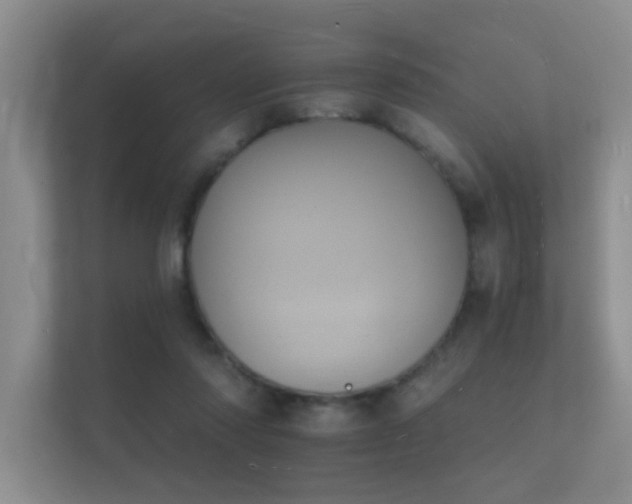 X0000112140310200908141159