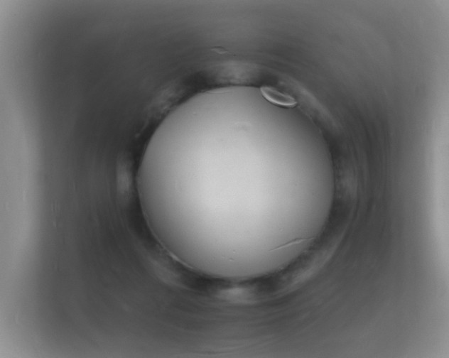 X0000112140312200908141159