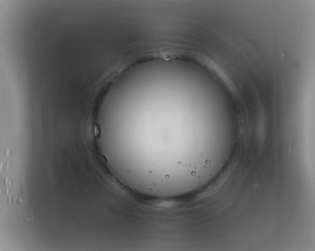 X0000112140313200908141159