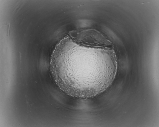 X0000112140324200908141159