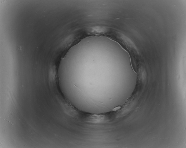 X0000112140328200908141159