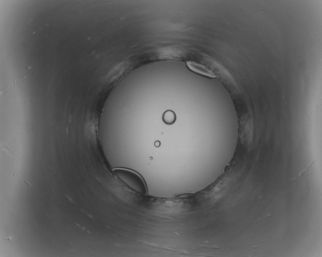 X0000112140329200908141159