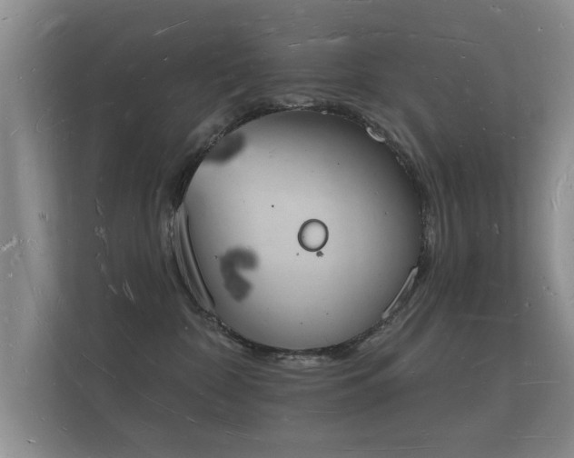 X0000112140332200908141159