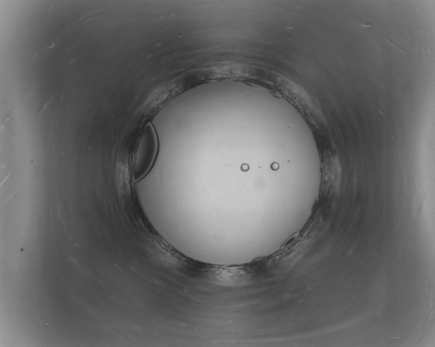 X0000112140333200908141159