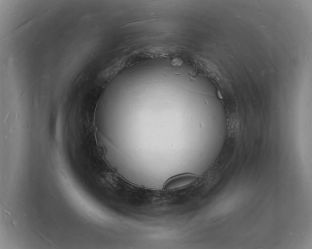 X0000112140335200908141159