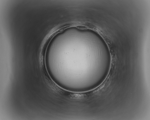 X0000112140343200908141158