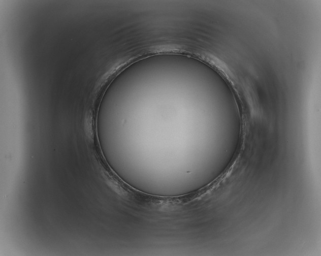 X0000112140345200908141158