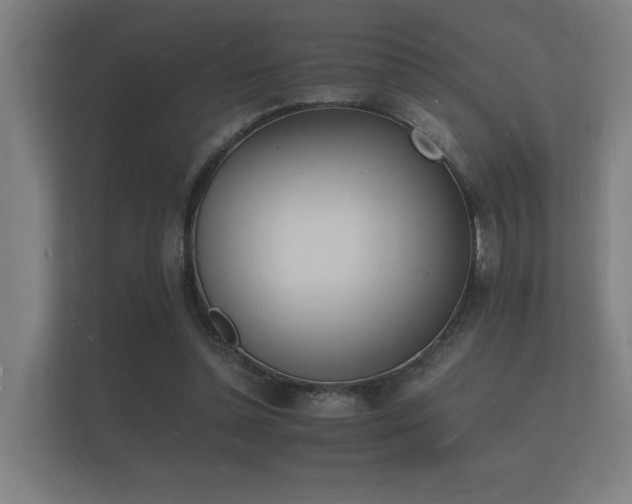 X0000112140348200908141158