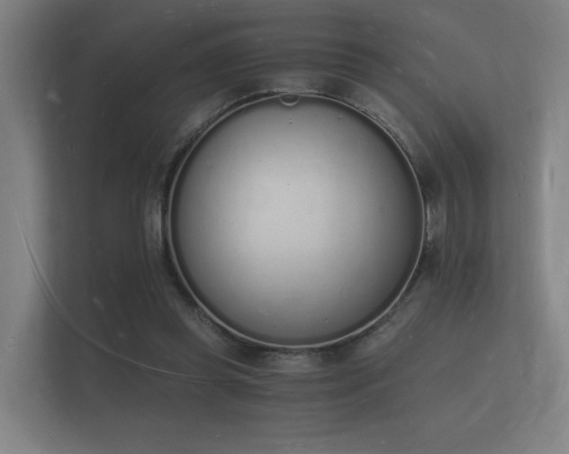 X0000112140349200908141158