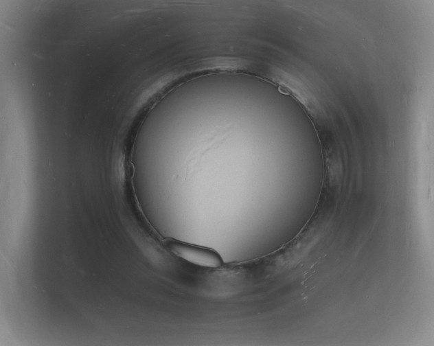 X0000112140350200908141158