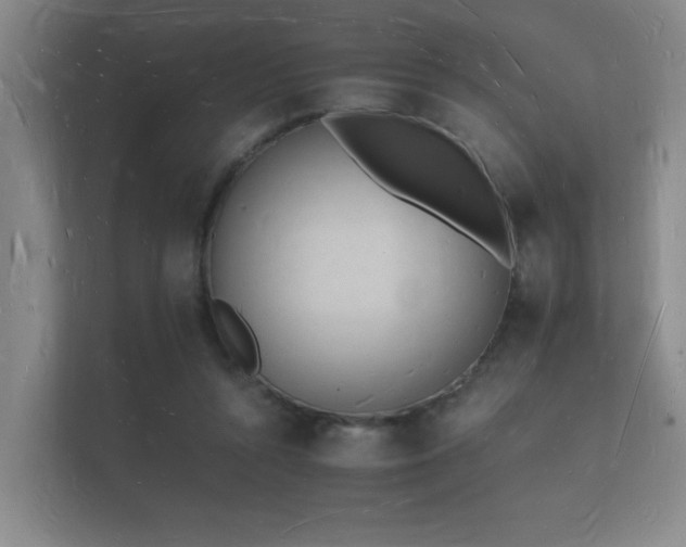 X0000112140352200908141158