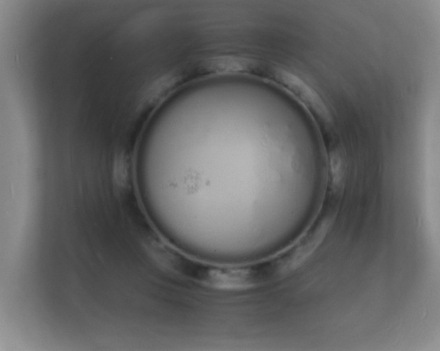 X0000112140359200908141159