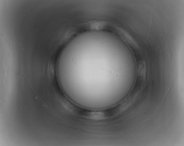 X0000112140363200908141159