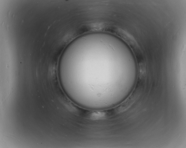 X0000112140369200908141159