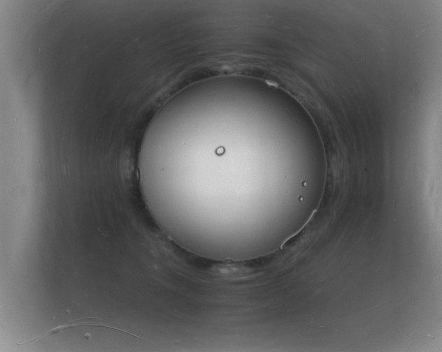 X0000112140372200908141159