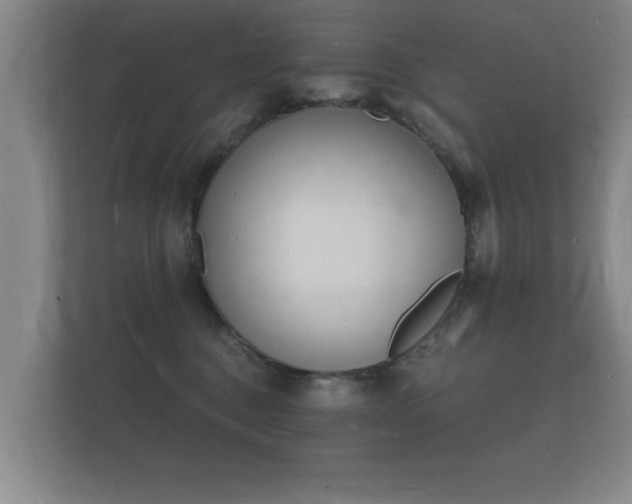 X0000112140376200908141159