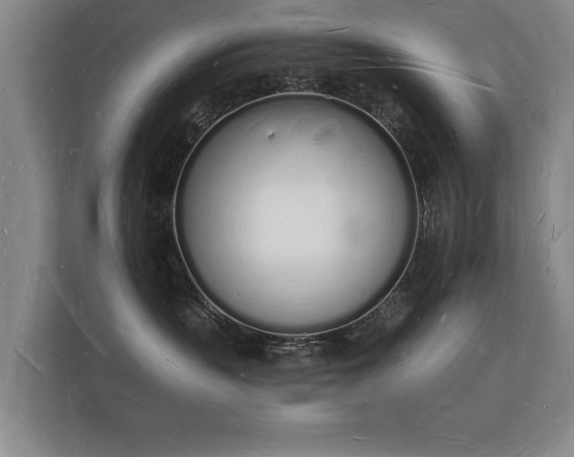 X0000112140383200908141159