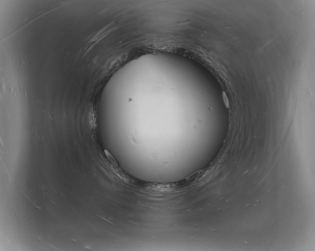 X0000112140384200908141159