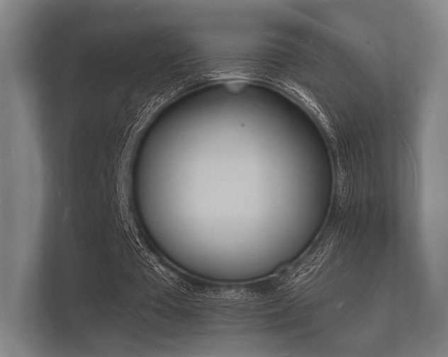 X0000112140385200908141158