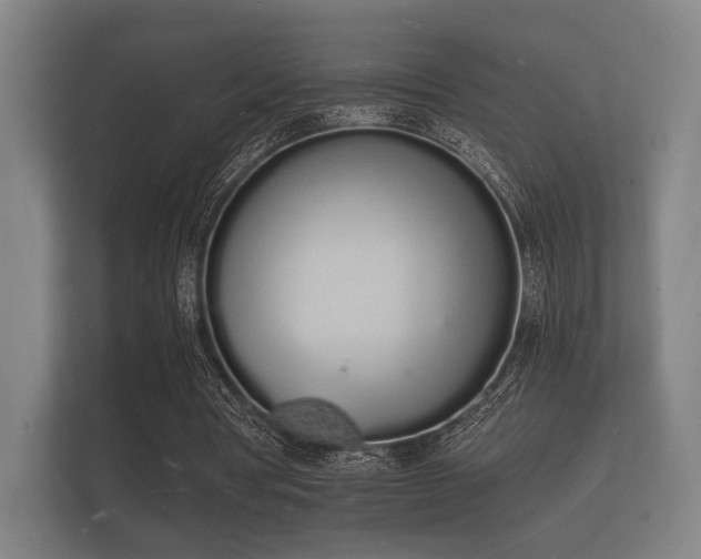 X0000112140386200908141158