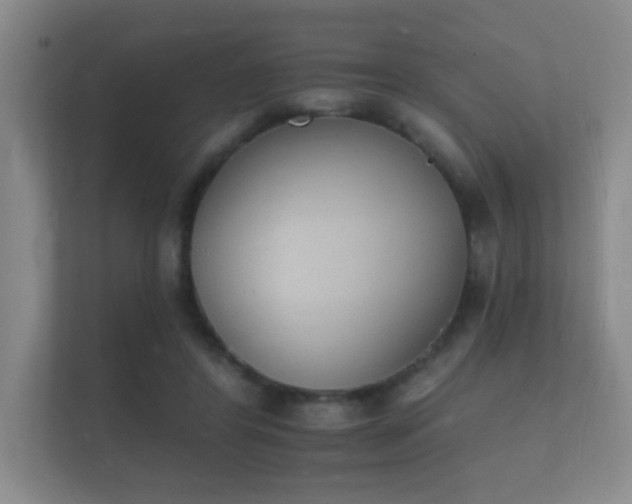 X0000112140404200908141158