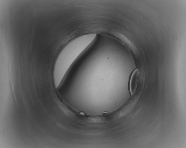 X0000112140405200908141158