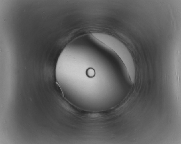 X0000112140409200908141158