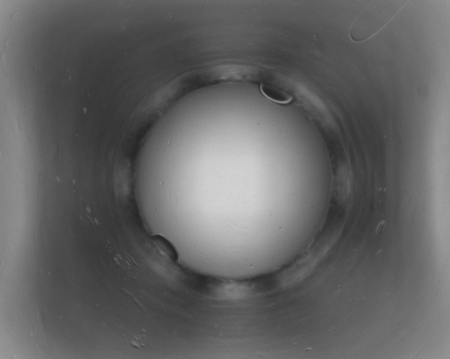 X0000112140413200908141158