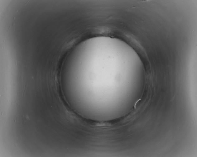 X0000112140415200908141158